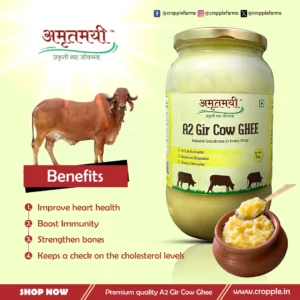 A2 Gir Cow Ghee 100% Organic 250g Vedic Bilona Method - Image 2