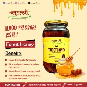 Pure Forest Honey 100% Organic and Natural 150 gm Cropple organic - Image 2