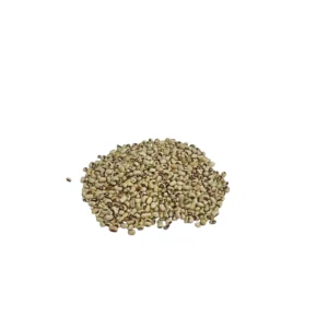 Amrutmayi Barbati | Long Beans Seeds | Healthy Hegetables | 500g - Image 3