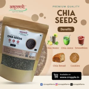 Premium Chia Seeds | Superfood for Weight Loss Heart Health & Energy Boost | 500g - Image 2