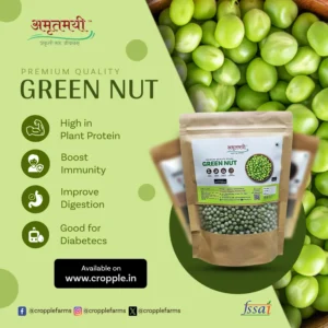 Amrutmayi Green peas | Natural Dry Green Legumes | 500g - Image 3