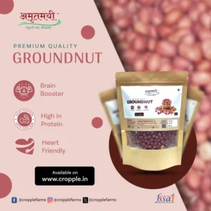 Desi Red Groundnuts | Pure Peanuts High protein | 500g - Image 2