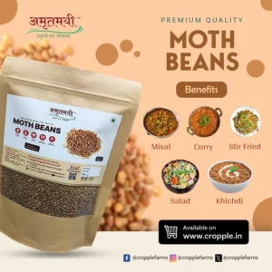 Amrutmayi Moth Beans | Matki Seeds | protein-rich legumes | 500g - Image 2
