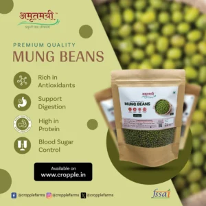 Amrutmayi Mung Beans | Green Beans | Protein Rich legumes | 500g - Image 3