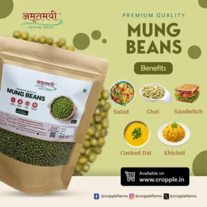 Amrutmayi Mung Beans | Green Beans | Protein Rich legumes | 500g - Image 2