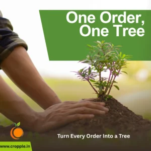 One Order, One Tree