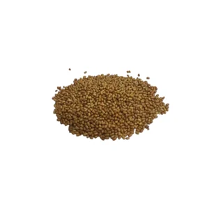 Amrutmayi Moth Beans | Matki Seeds | protein-rich legumes | 500g - Image 5