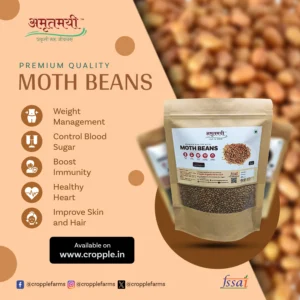 Amrutmayi Moth Beans | Matki Seeds | protein-rich legumes | 500g - Image 3