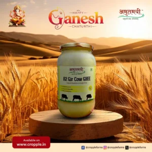 Ghee Banner2