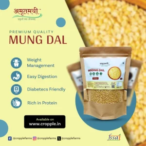 Amrutmayi Moong Dal | Green Gram Split | 500g - Image 3