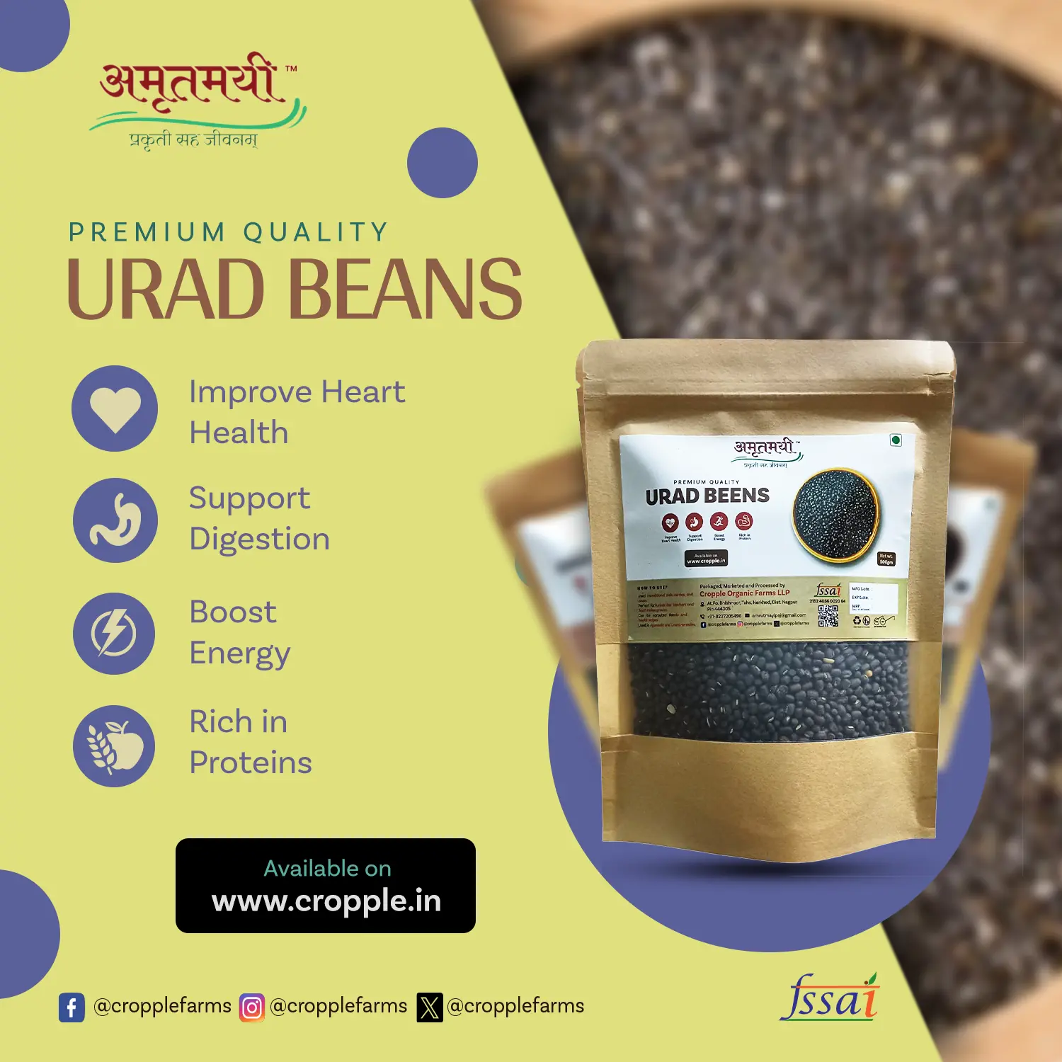 Amrutmayi Urad Beans | Black Gram | Protein Rich Gram | 500g - Image 3