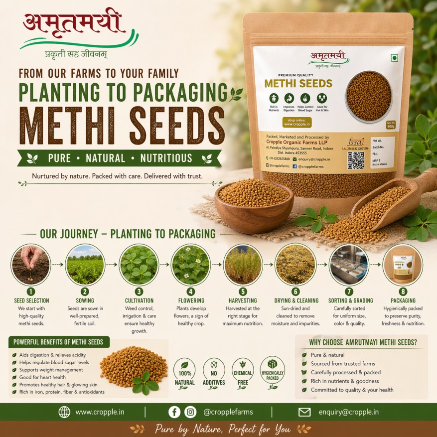 Amrutmayi Methi Seeds | Fenugreek Seeds | Organic Methi Seeds | 500g - Image 5