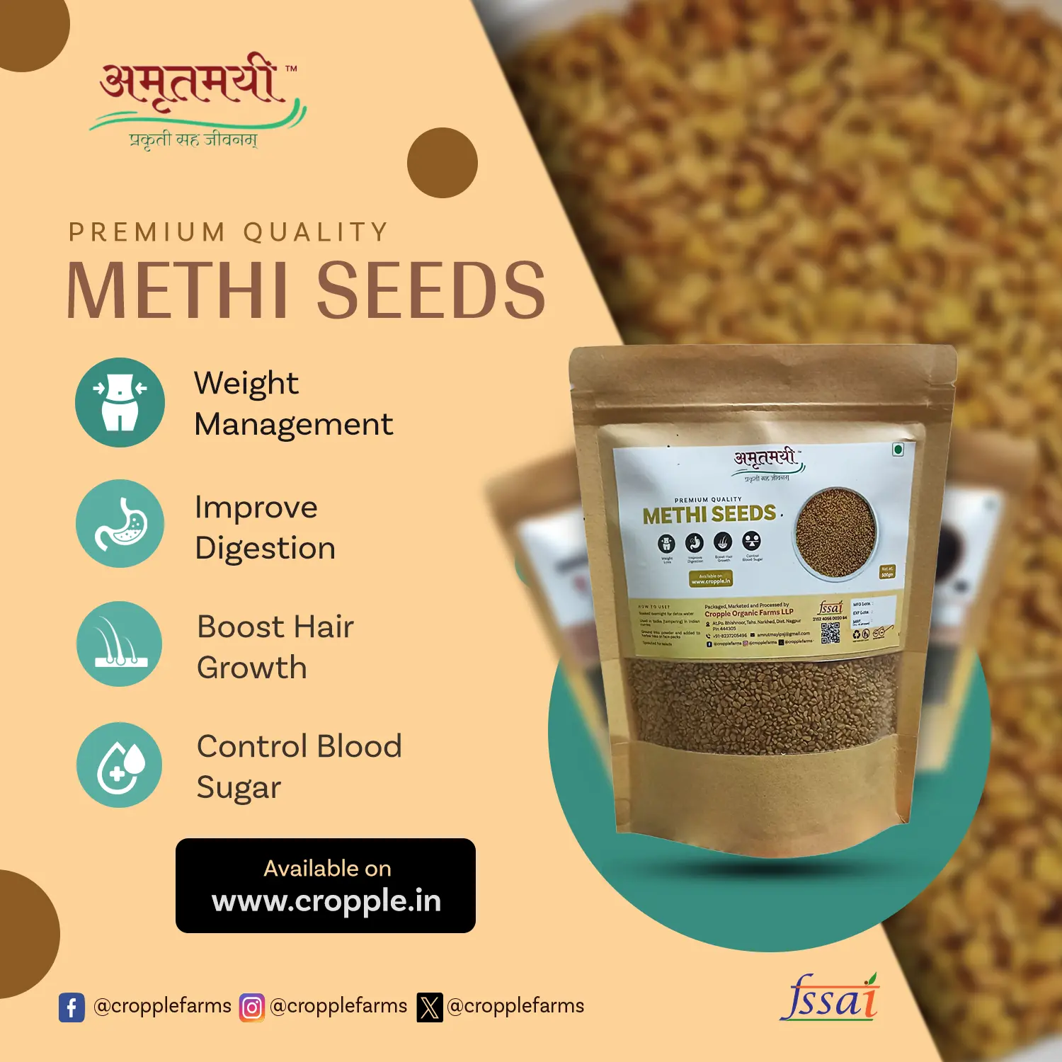 Amrutmayi Methi Seeds | Fenugreek Seeds | Organic Methi Seeds | 500g - Image 2