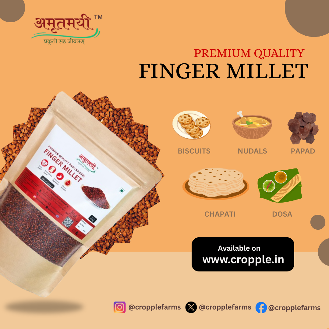 Amrutmayi Unpolished Finger Millets | 400 G | Ragi Millet | Nachani - Image 4