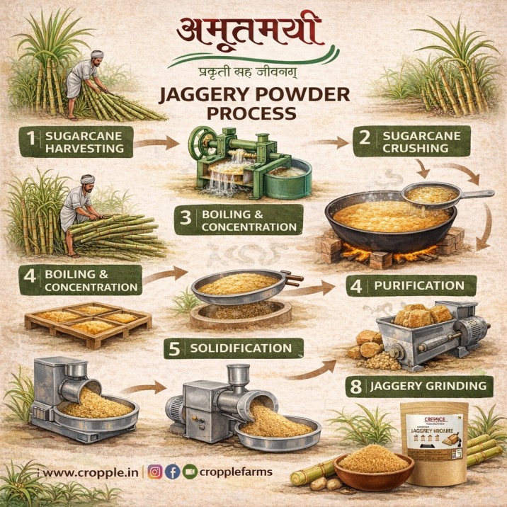 Amrutmayi Sugar Cane Jaggery Powder | 100% Natural | 400gm - Image 5